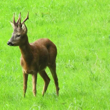 1 Bed In Nidderdale Hh071 * Dacre (North Yorkshire)