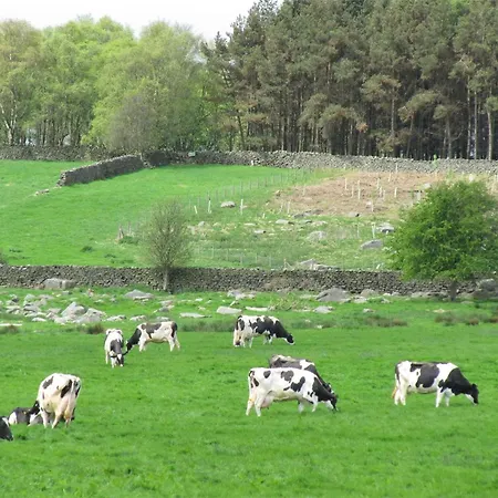 Ferienhaus 1 Bed In Nidderdale Hh071 Dacre (North Yorkshire)