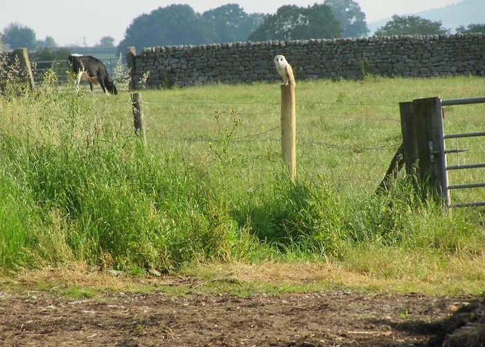 1 Bed In Nidderdale Hh071 Dacre (North Yorkshire)