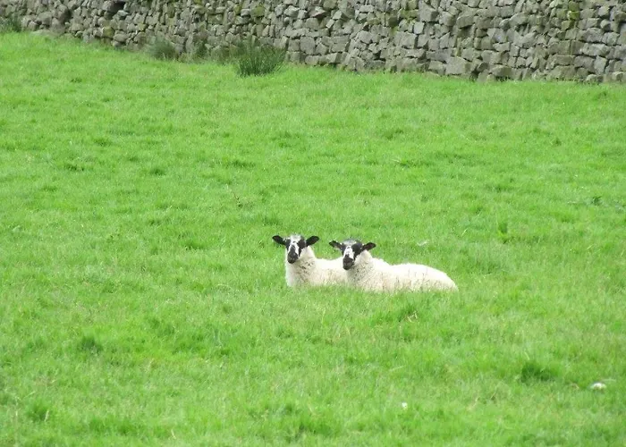 1 Bed In Nidderdale Hh071 Ferienhaus Dacre (North Yorkshire)