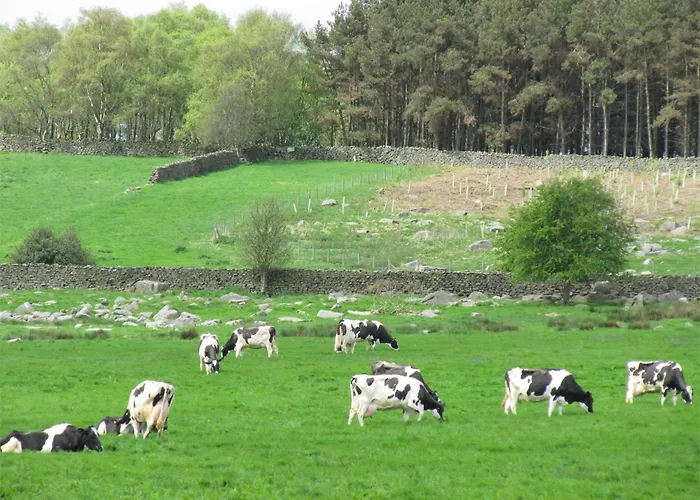 Ferienhaus 1 Bed In Nidderdale Hh071 Dacre (North Yorkshire)